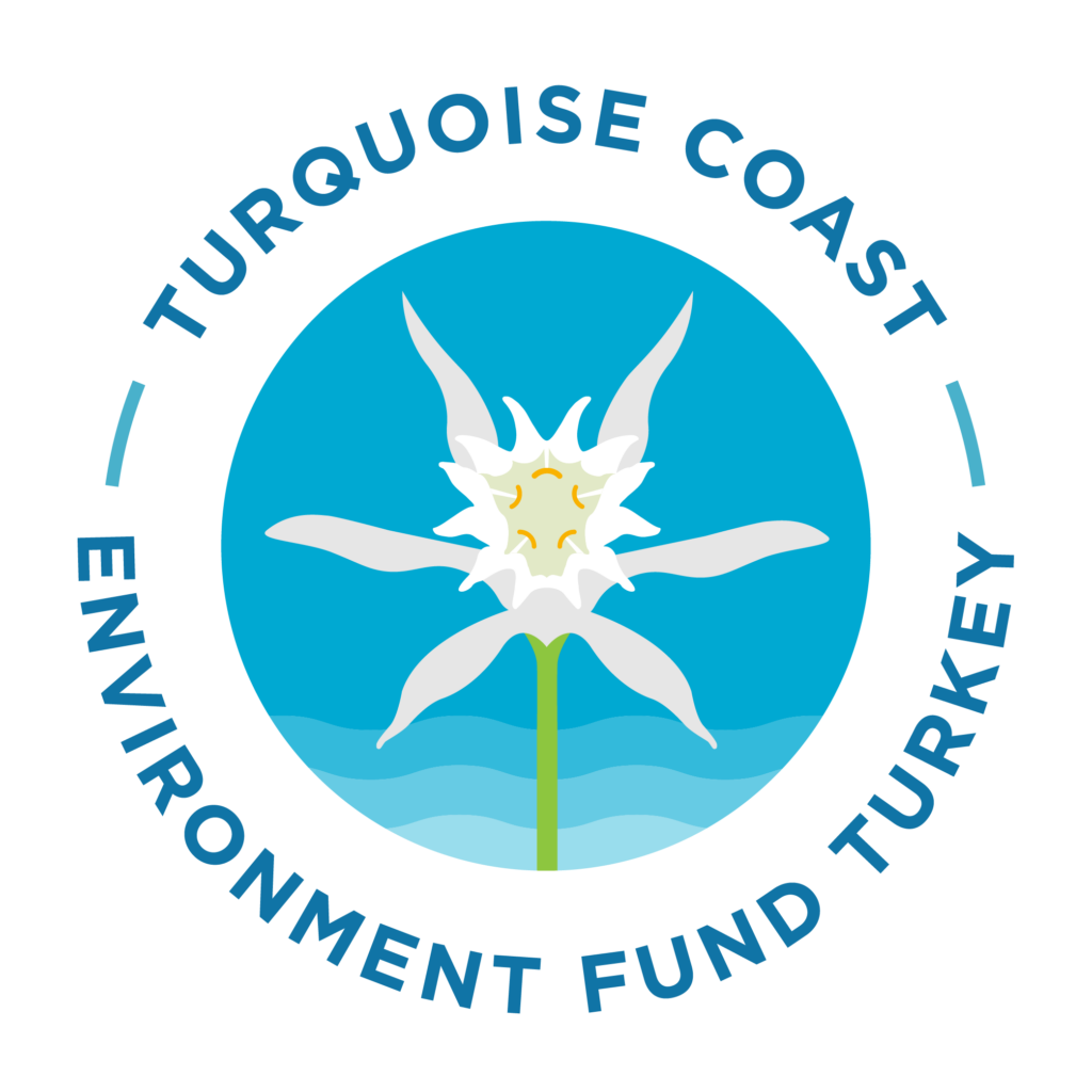 TCEF_Logo-2
